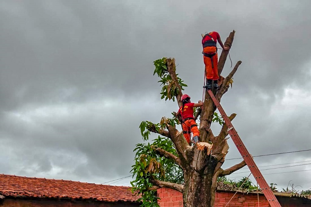 Homem tem fratura exposta ao se acidentar em árvore e bombeiros são acionados
