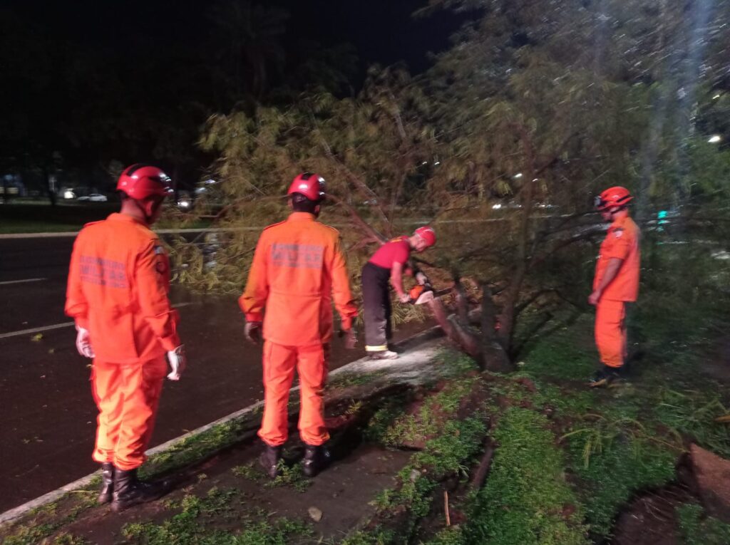 APÓS CHUVA E VENTANIA, BOMBEIRO MILITAR REGISTRA OCORRÊNCIAS DE QUEDA DE ÁRVORES EM PALMAS E PARAÍSO