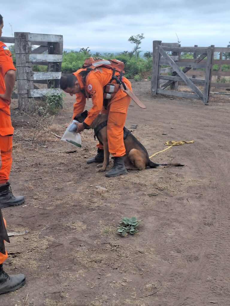 APÓS 10 DIAS, POLÍCIA CIVIL ENCERRA BUSCAS POR IDOSA DESAPARECIDA EM SÃO MIGUEL