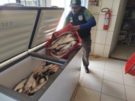 FISCALIZAÇÃO APREENDE 880KG DE PESCADO E REALIZA DOAÇÃO À INSTITUIÇÕES FILANTRÓPICAS
