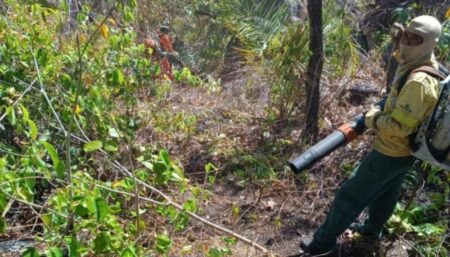 BRIGADISTAS REALIZAM COMBATE A INCÊNDIO NA APA SERRA DO LAJEADO