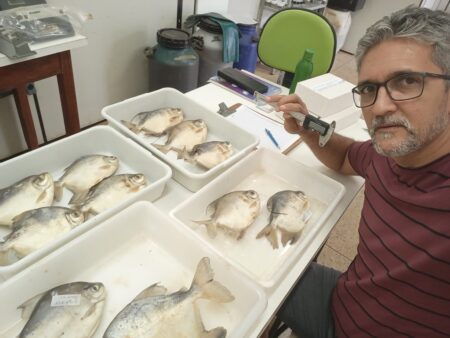 BIÓLOGO DA UVCZ DESCOBRE NOVA ESPÉCIE DE PEIXE NO RIO TOCANTINS