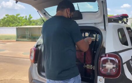 SUSPEITO DE COMETER HOMICÍDIO NA PRAIA DA GRACIOSA É PRESO EM AÇÃO CONJUNTA DAS FORÇAS DE SEGURANÇA