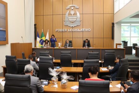 BALANÇO 2023: CMP APROXIMA CIDADÃOS DO PARLAMENTO E APROVA LEIS IMPORTANTES PARA O PLANEJAMENTO DE PALMAS