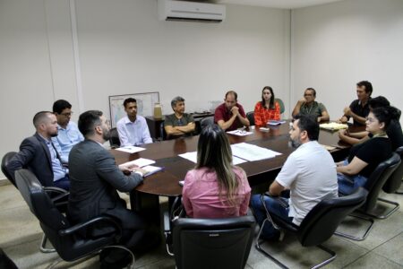 ITERTINS DISCUTE ESTRATÉGIAS PARA REALIZAÇÃO DO DIAGNÓSTICO DOS TÍTULOS DEFINITIVOS DAS TERRAS DA UNIÃO NO TOCANTINS EM FAIXAS DA BR-153 E BR-230