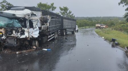 DUAS CARRETAS COLIDEM NA RODOVIA TO-080 E DEIXA UMA PESSOA MORTA