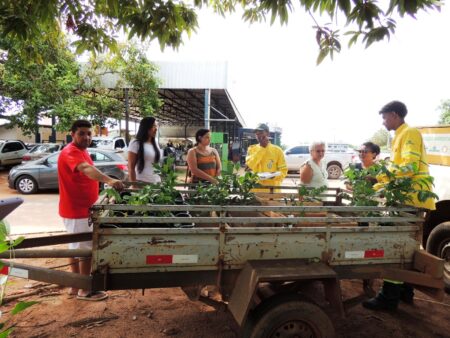 DISTRIBUIÇÃO DE MUDAS NATIVAS DO CERRADO PELA APA LAGO DE PALMAS MARCA O FIM DE SEMANA EM LUZIMANGUES