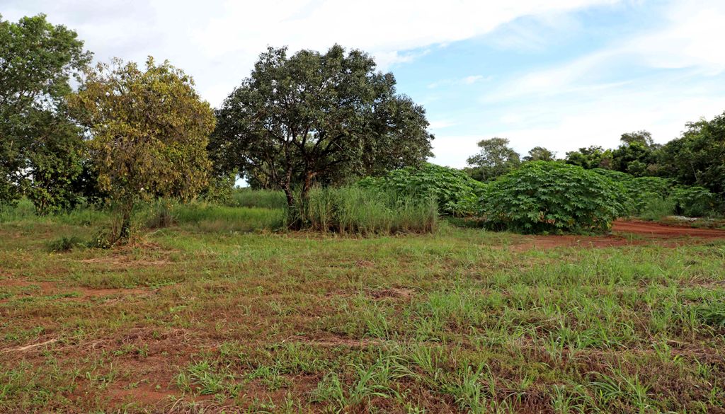 GOVERNO DO TOCANTINS DOA TERRENO PARA CONSTRUÇÃO DO HOSPITAL MUNICIPAL DE PALMAS