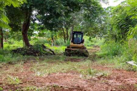 PROPRIETÁRIOS DEVEM LIMPAR LOTES BALDIOS PARA EVITAR MULTA E PREVENIR FOCOS DE DENGUE