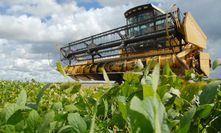 COM MAIS DE 1,5 MILHÃO DE HECTARES PARA CULTIVO DA SOJA, TOCANTINS INICIA PLANTIO DA SAFRA 2024/2025 DIA 1º DE OUTUBRO