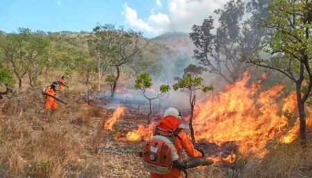 NOVO BOLETIM CLIMÁTICO APONTA UMA REDUÇÃO DE 10% NA CURVA DE CRESCIMENTO DOS FOCOS DE QUEIMADAS EM RELAÇÃO À SEMANA ANTERIOR