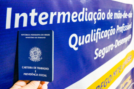 GOVERNO DO TOCANTINS PROMOVE SEMINÁRIO TÉCNICO COM A REDE SINE DA REGIÃO NORTE
