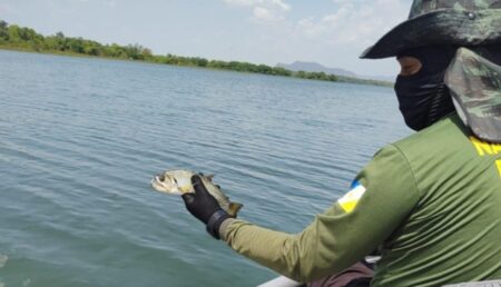 OPERAÇÃO MALHA FINA DO NATURATINS APREENDE 2 MIL METROS DE REDES DE PESCA