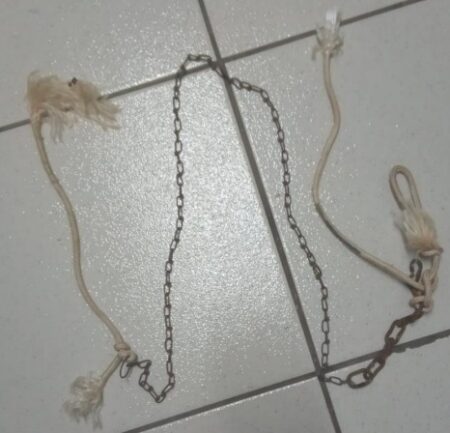 EM NOVA OLINDA, POLÍCIA CIVIL CONCLUI INQUÉRITO E INDICIA HOMEM POR CRIME DE MAUS TRATOS A ANIMAIS