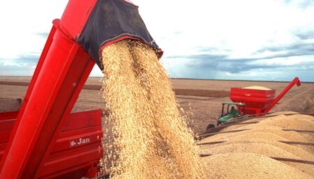 TOCANTINS APRESENTA O 4º MAIOR CRESCIMENTO DO PIB EM 2022 NO BRASIL