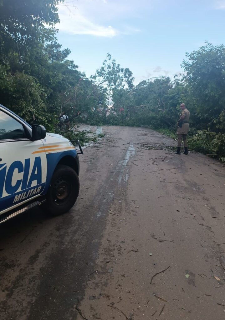 QUEDA DE ÁRVORES BLOQUEIA TRECHO DA TO-080 ENTRE DIVINÓPOLIS E CAMPINA VERDE