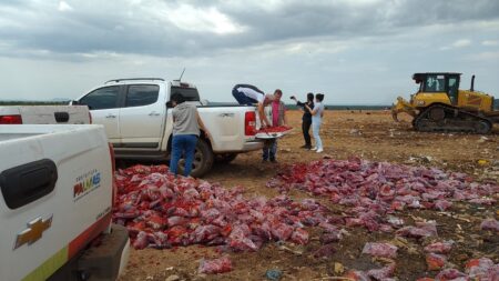 VIGILÂNCIA SANITÁRIA APREENDE MAIS DE QUATRO TONELADAS DE MORANGOS IMPRÓPRIOS PARA CONSUMO EM PALMAS