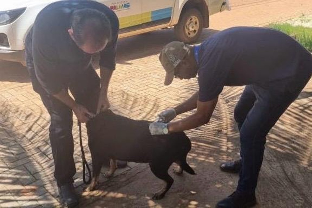 SEMUS INICIA CRONOGRAMA DE VACINAÇÃO ANTIRRÁBICA NA ZONA RURAL PELO ÁGUA FRIA
