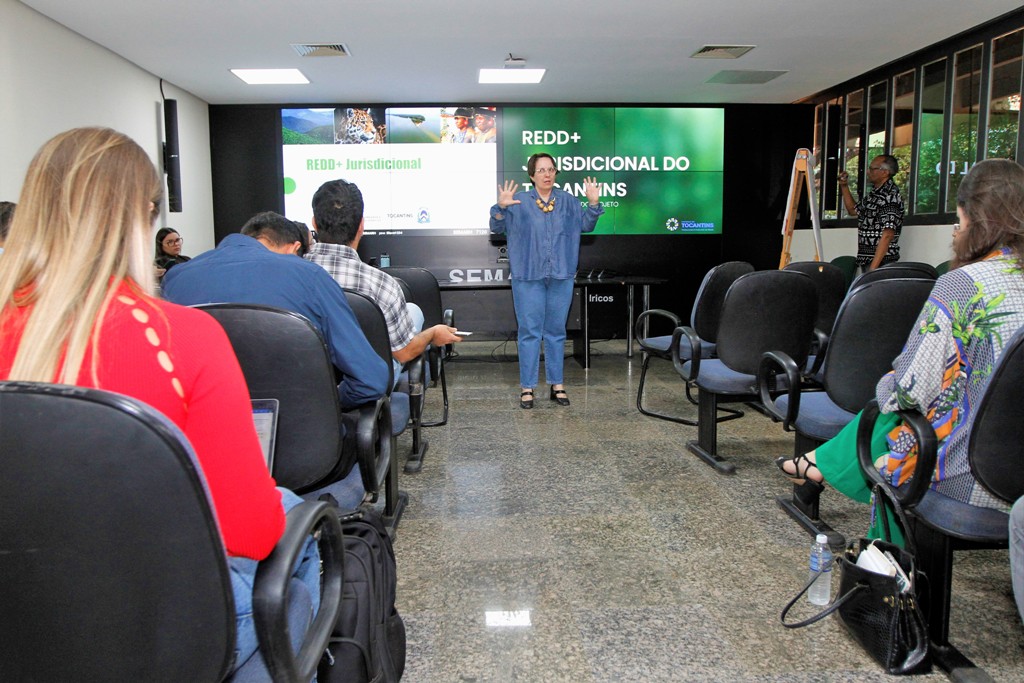 GOVERNO DO TOCANTINS POR MEIO DE CONSULTORIA ESPECIALIZADA REALIZA WORKSHOP DE FORMAÇÃO EM MUDANÇA DO CLIMA E MERCADOS DE CARBONO