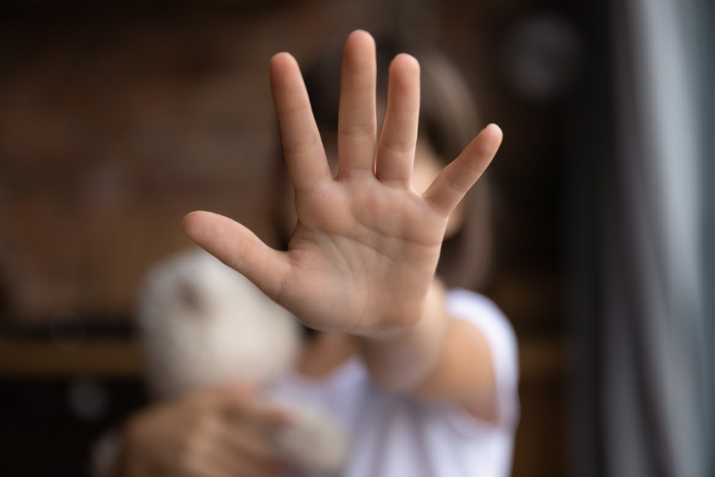 PUBLICADOS MODELOS DE PRONTUÁRIOS PARA ACOLHIDA ÀS CRIANÇAS E ADOLESCENTES VÍTIMAS DE VIOLÊNCIAS