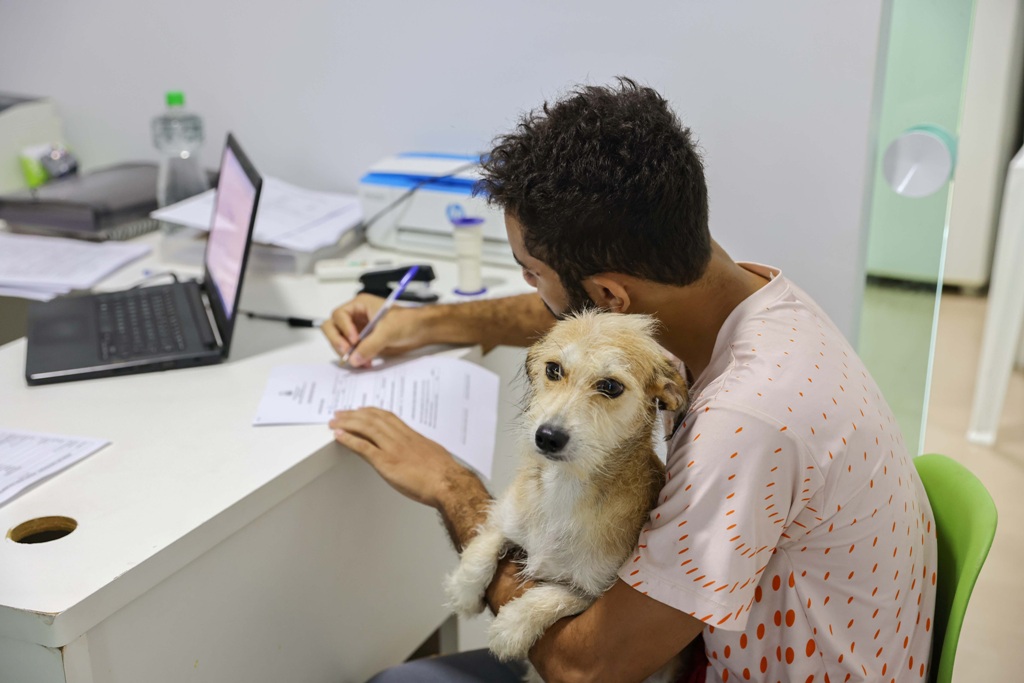 SAÚDE DE PALMAS REALIZA AS PRIMEIRAS CASTRAÇÕES DE CÃES E GATOS DE 2025