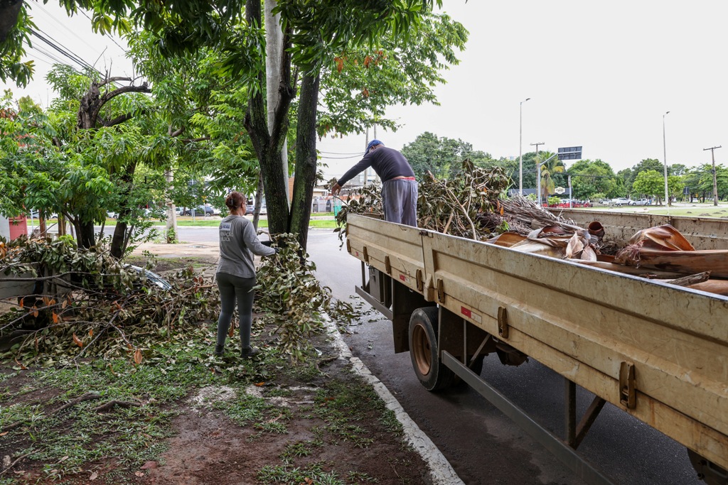 PREFEITURA INFORMA COMO SOLICITAR RECOLHIMENTO DE GALHADAS