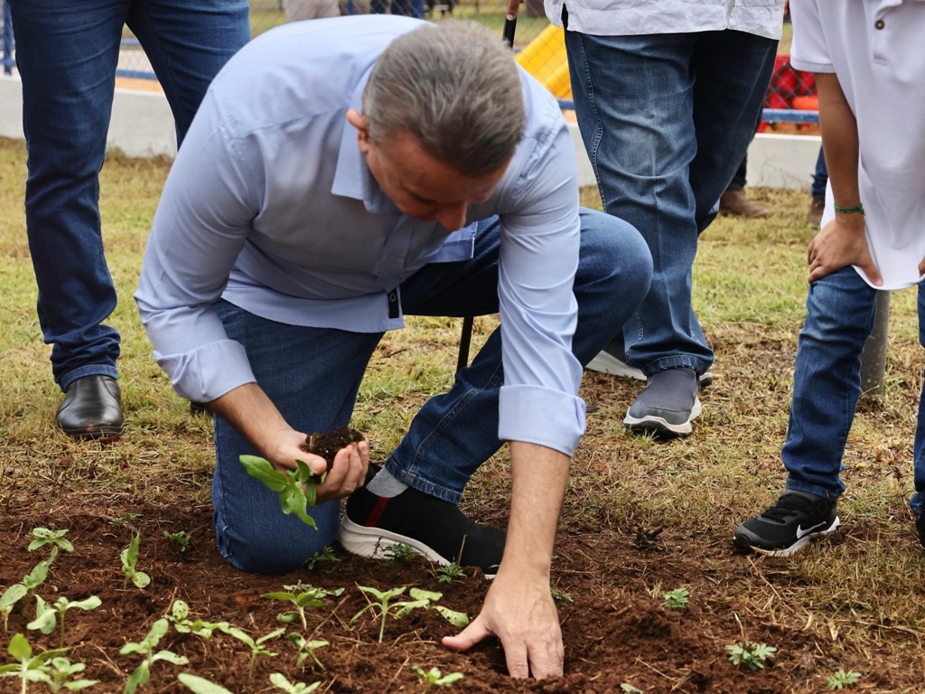 PREFEITURA DE PALMAS ENTREGA REVITALIZAÇÃO DA ARSO 31