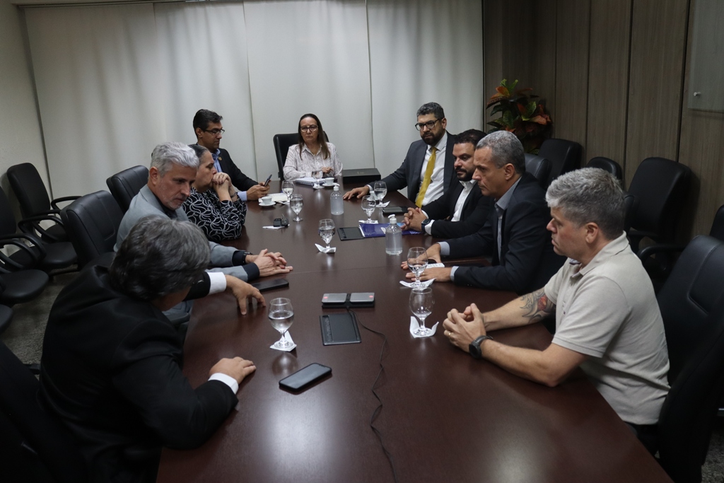 SSP/TO E TJ/TO INICIAM TRATATIVAS PARA INTERLIGAR SISTEMAS ELETRÔNICOS DA POLÍCIA CIVIL E DO JUDICIÁRIO