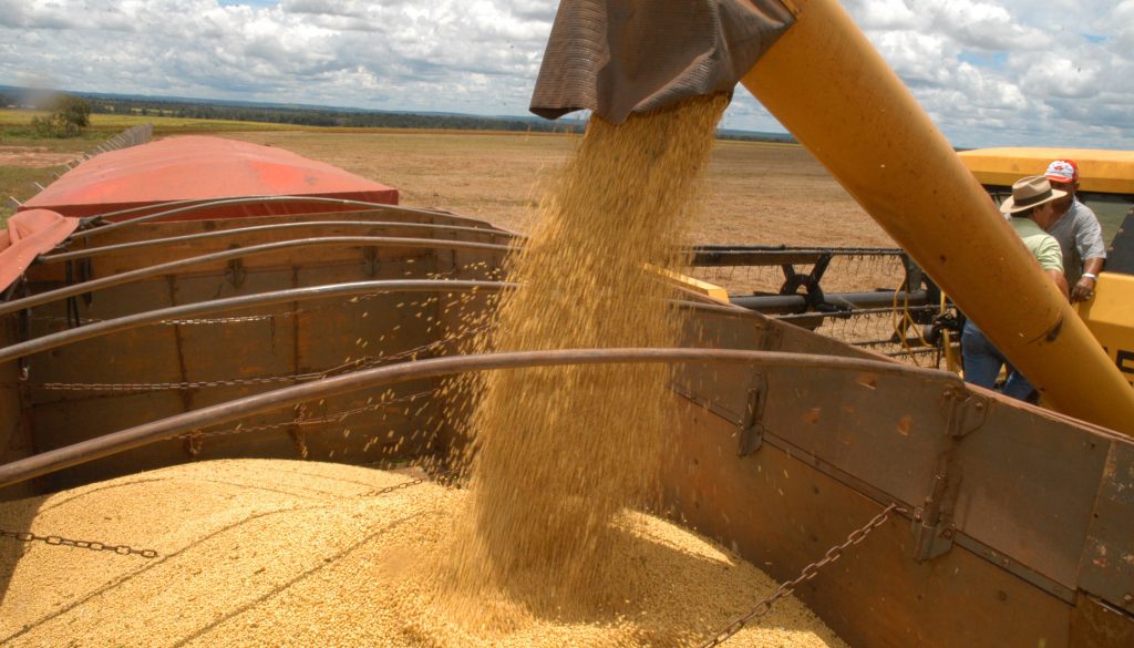 TOCANTINS É O 3º ESTADO QUE MAIS CRESCEU NO VALOR DA PRODUÇÃO AGRÍCOLA ENTRE 2018 E 2023