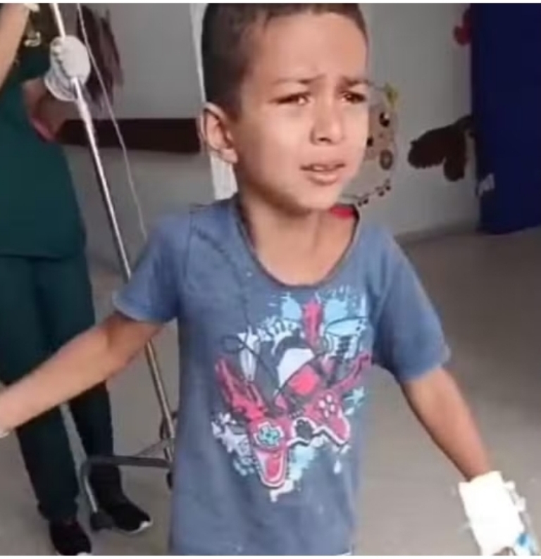 ‘VERDADEIRO MILAGRE’, DIZ MÃE DE MENINO QUE SOBREVIVEU À PICADA DE JARARACA EM PALMAS