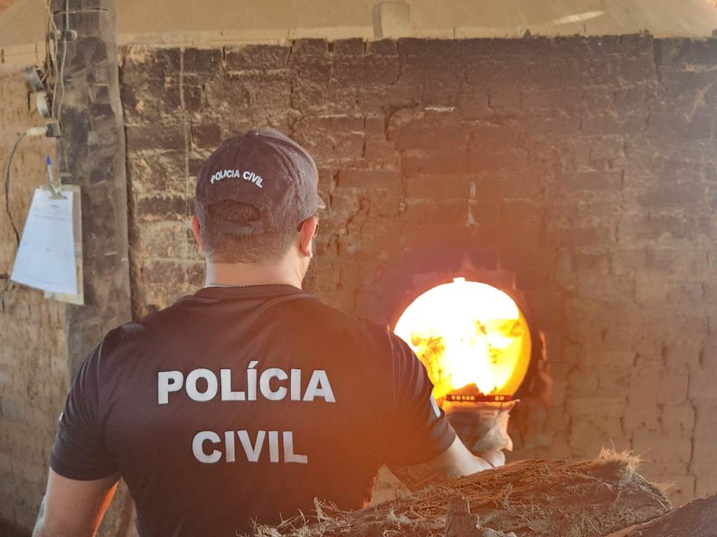 OPERAÇÃO NARKE IV: POLÍCIA CIVIL DO TOCANTINS INCINERA 7 KG DE ENTORPECENTES NO SUDESTE DO ESTADO