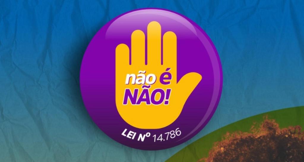 CAPACITAÇÃO DO PROTOCOLO ‘NÃO É NÃO’ PREPARA MUNICÍPIOS DO TOCANTINS PARA COMBATER ASSÉDIO NAS PRAIAS