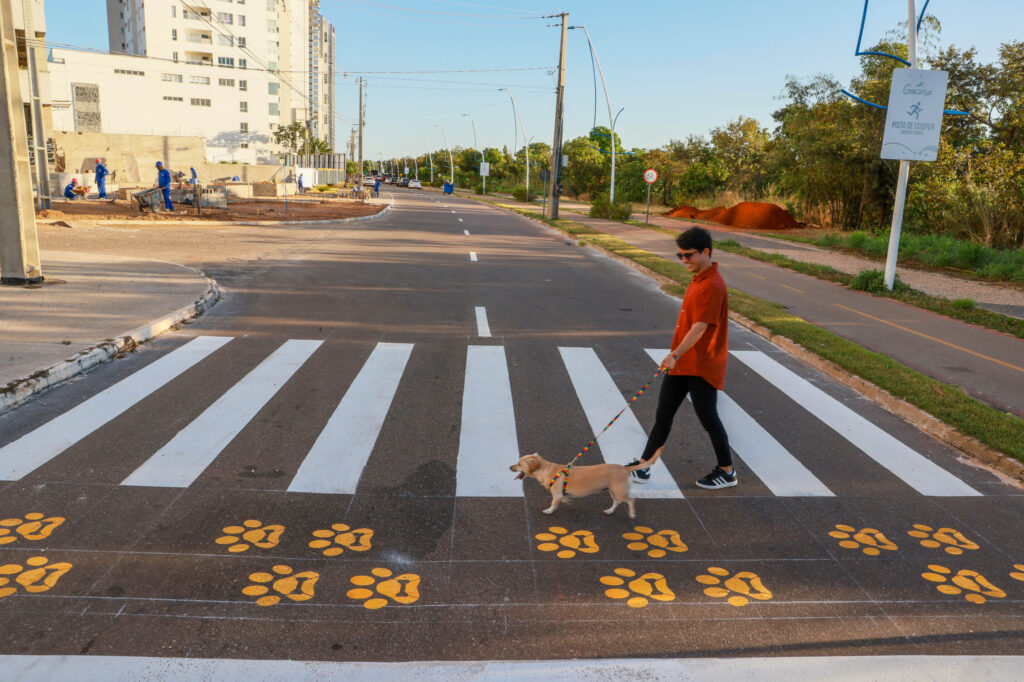 PROJETO PATADESTRE LEVA SINALIZAÇÃO COM PATINHAS PARA PROTEGER PETS NAS RUAS DE PALMAS