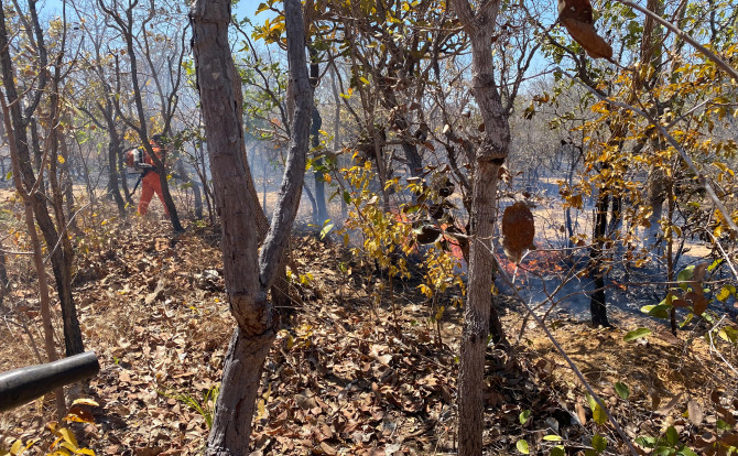 BOMBEIROS E BRIGADISTAS ATUAM EM CONTROLE DE QUEIMADAS EM PARANÃ