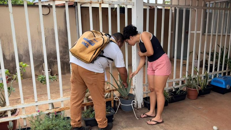 SAÚDE DE PALMAS INICIA CAMPANHA VETOR ZERO PARA COMBATER AEDES AEGYPTI