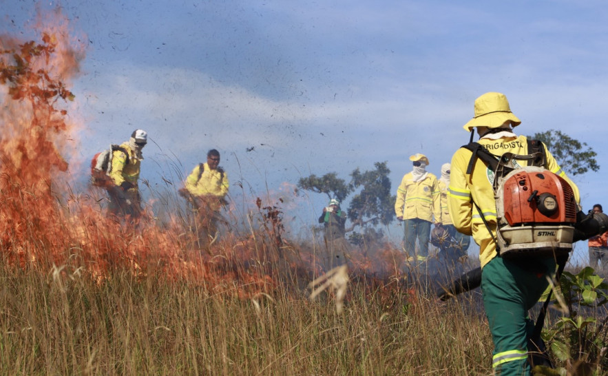 NATURATINS DESTACA ATUAÇÃO NAS UNIDADES DE CONSERVAÇÃO NA PREVENÇÃO E COMBATE A INCÊNDIOS