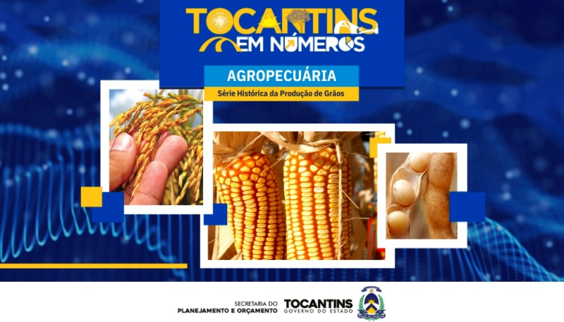 TOCANTINS ATINGE NOVO RECORDE NA PRODUÇÃO DE GRÃOS COM 9,1 MILHÕES DE TONELADAS COLHIDAS NA SAFRA 2024/25