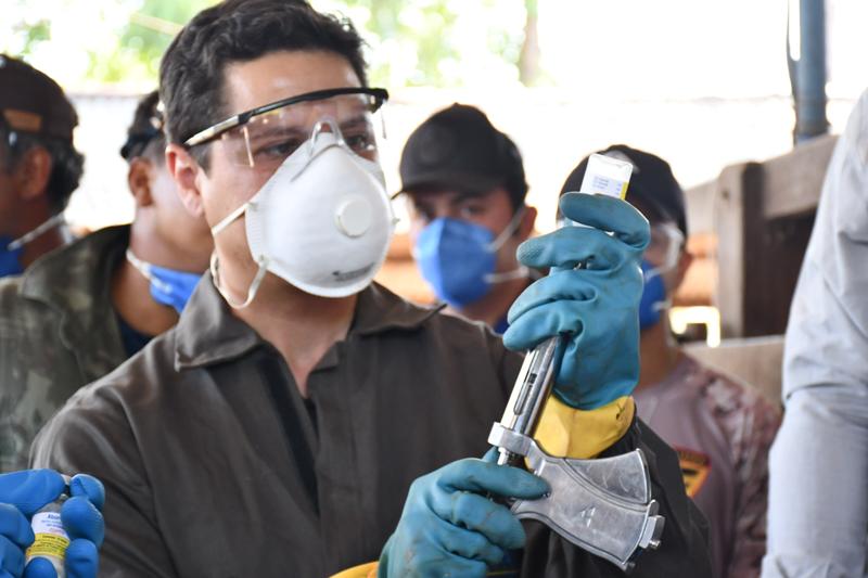PRAZO DA SEGUNDA ETAPA DA CAMPANHA DE VACINAÇÃO CONTRA BRUCELOSE ENCERRA NESTA QUARTA-FEIRA, 31