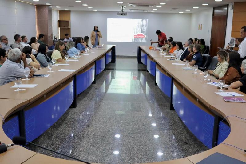 REUNIÃO EMERGENCIAL ALINHA AÇÕES IMEDIATAS DE ENFRENTAMENTO À VIOLÊNCIA DE GÊNERO NO TOCANTINS