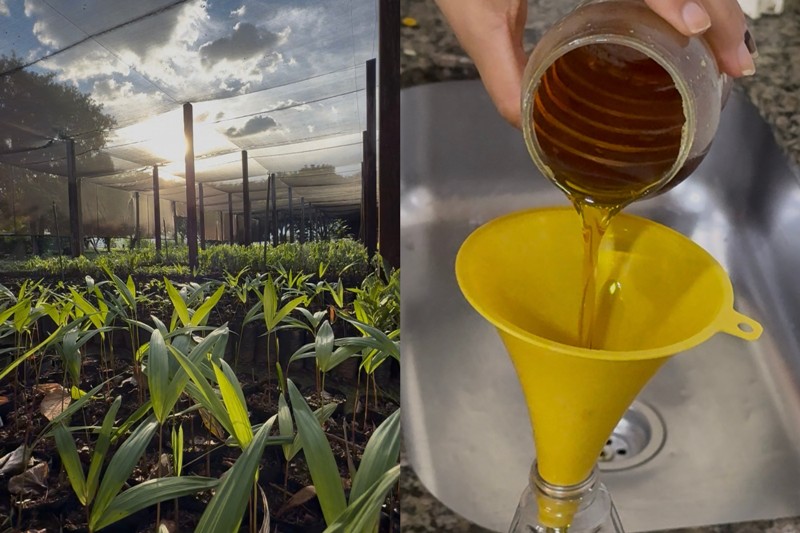 DESCARTE CONSCIENTE: PALMAS INAUGURA PONTO DE COLETA DE ÓLEO DE COZINHA USADO