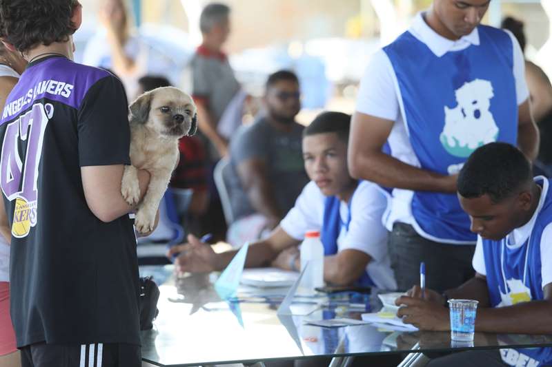 PALMAS CUIDA + OFERECE ATENDIMENTO GRATUITO PARA CÃES NESTE SÁBADO EM ESCOLA DA REGIÃO NORTE