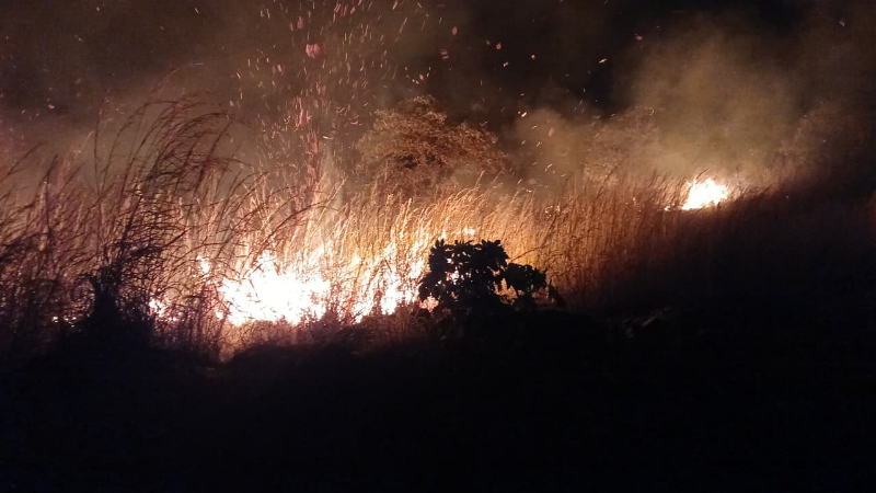 DEFESA CIVIL DE PALMAS INTENSIFICA COMBATE A INCÊNDIOS DURANTE PERÍODO DE ESTIAGEM