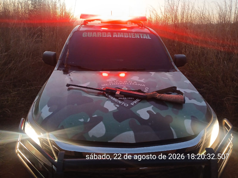 APREENSÃO DE ARMAS E MADEIRA IRREGULAR É REGISTRADA DURANTE FISCALIZAÇÃO DA GUARDA METROPOLITANA DE PALMAS
